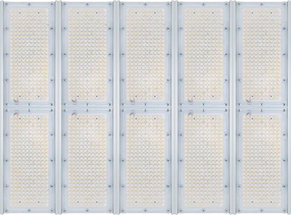 Diora Unit5 PRO 890/139000 К30 5K лира