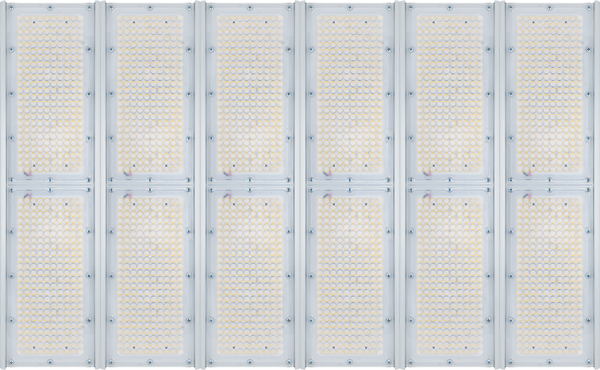 Diora Unit6 PRO 1140/174000 К30 4K лира