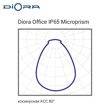 Diora Office IP65 47/5800 microprism 4K