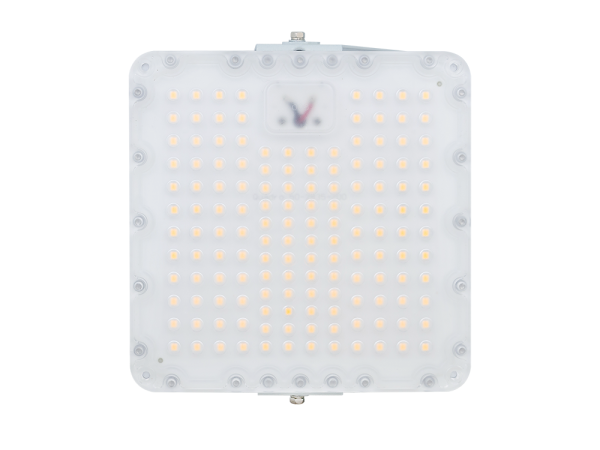 Diora Quadro 55/8200 Д 5K лира