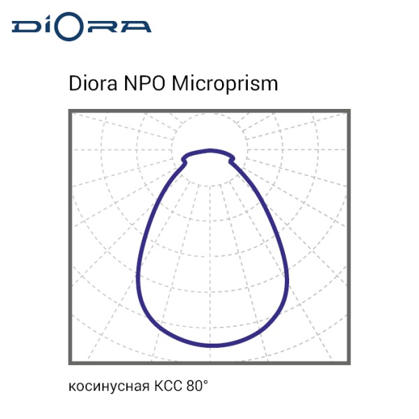 Diora NPO 19/2400 microprism 4K