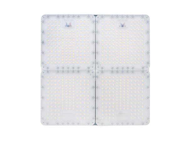 Diora Quadro 200/31000 Г80 4K лира