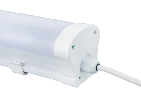 Diora LPO/LSP 38/4200 Mini-12 opal 6K